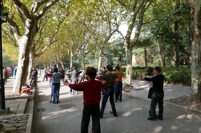 CHINE ESSENTIELLE pas cher photo 9