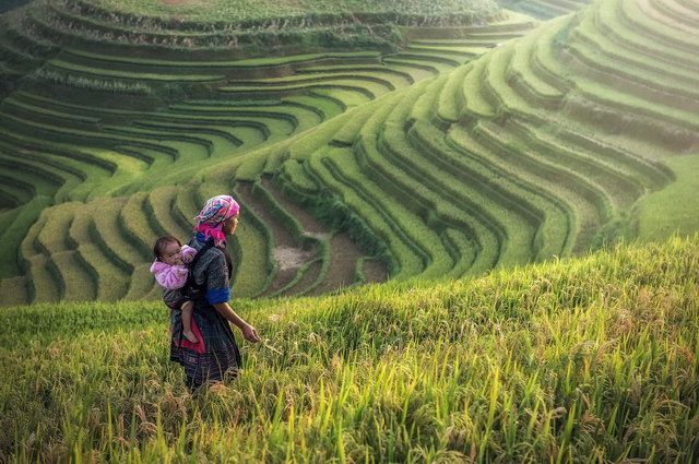 CIRCUIT AVENTURE VIETNAMIENNE pas cher photo 3