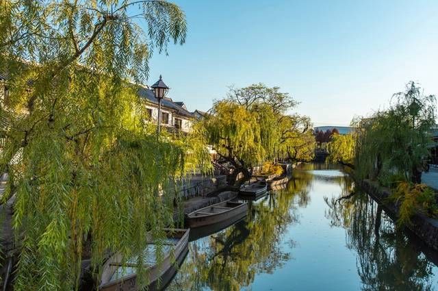 SAMOURAIS ET JARDINS ZEN pas cher photo 9