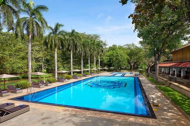 Circuit Carpe Diem au Sri Lanka pas cher photo 7