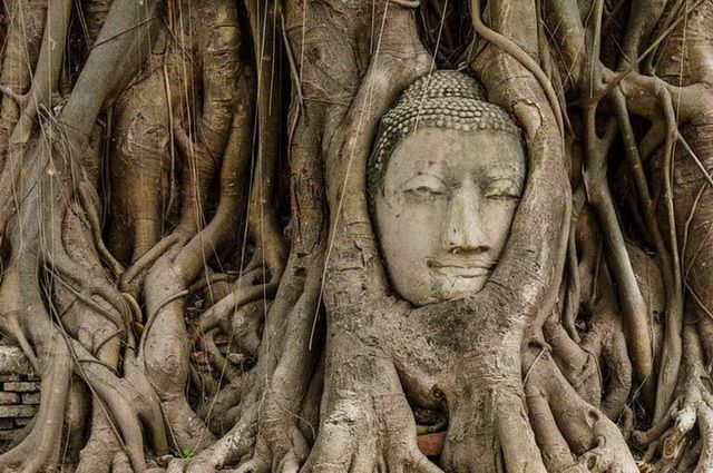 THAI HERITAGE pas cher photo 4
