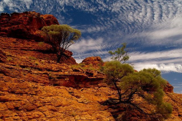 CIRCUIT MOSAIQUE AUSTRALIENNE pas cher photo 4