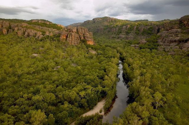 CIRCUIT MOSAIQUE AUSTRALIENNE pas cher photo 9