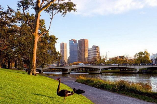 CIRCUIT MOSAIQUE AUSTRALIENNE ET OUVERTURE SUR LE SUD pas cher photo 1