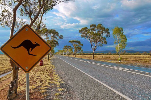 CIRCUIT MOSAIQUE AUSTRALIENNE ET OUVERTURE SUR LE SUD pas cher photo 8