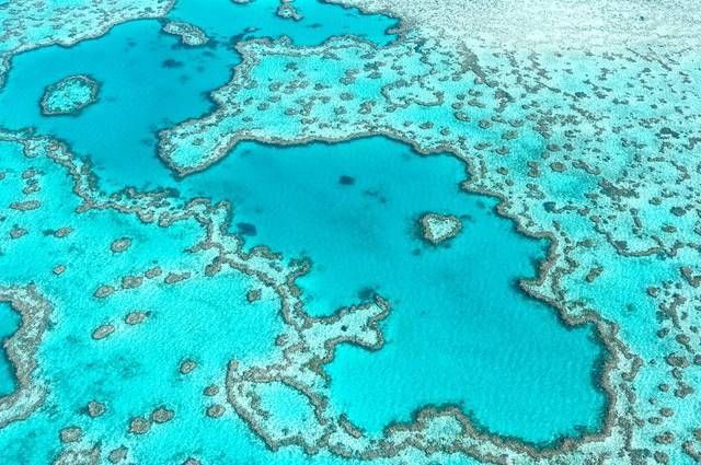 CIRCUIT MOSAIQUE AUSTRALIENNE ET OUVERTURE SUR LE SUD pas cher photo 12