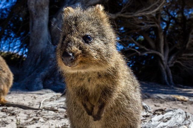 CIRCUIT LA GRANDE TRAVERSEE DE L'AUSTRALIE pas cher photo 2