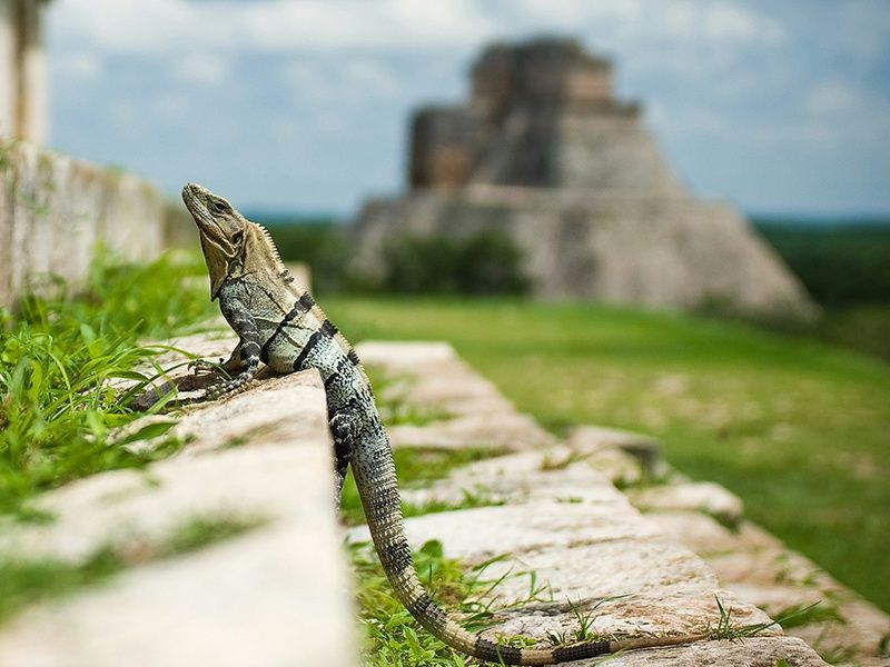 Séjour en étape avec location de voiture "L’ Essentiel du Yucatan et plage" pas cher photo 8