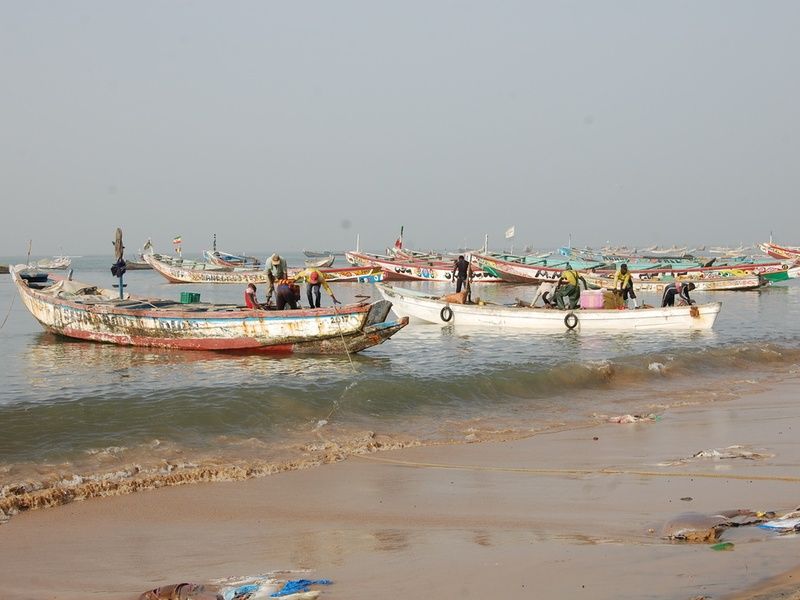 Circuit Privatif Du Siné Saloum aux Plages de la Petite Cote pas cher photo 22