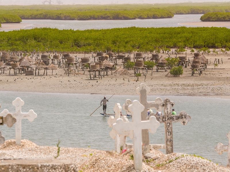 Circuit Privatif Du Siné Saloum aux Plages de la Petite Cote pas cher photo 31