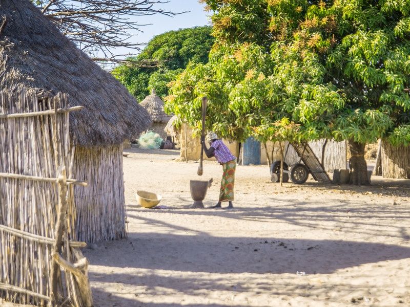 Circuit Privatif Du Siné Saloum aux Plages de la Petite Cote pas cher photo 37