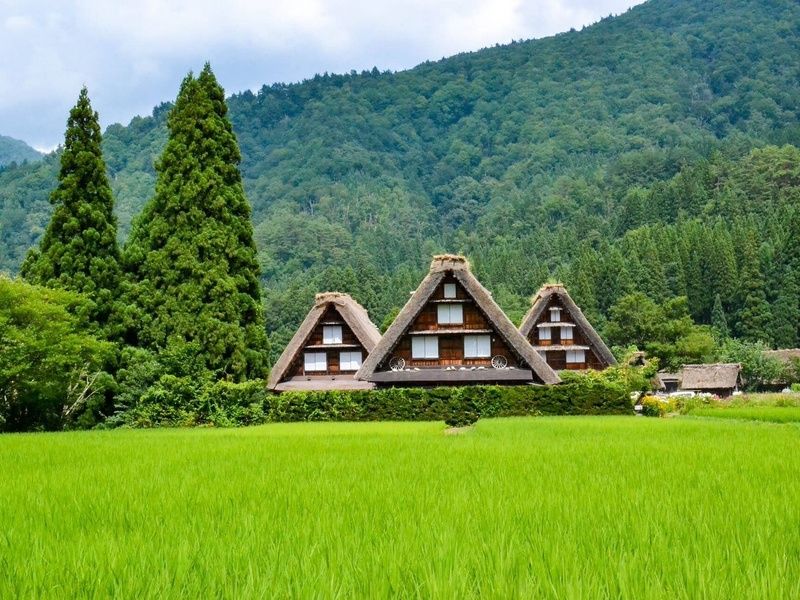 Grande Traversée des Alpes Japonaises : Circuit individuel en 3* pas cher photo 11
