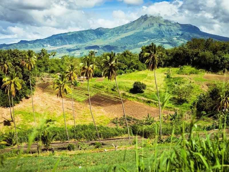 Circuit Évasion Caribéenne : Martinique et Sainte-Lucie pas cher photo 3