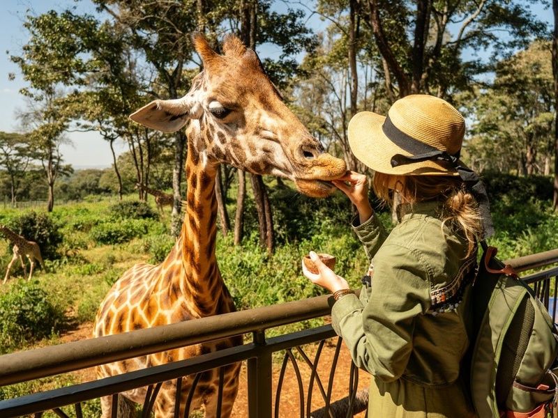 Circuit Regard sur le Kenya, le grand safari pas cher photo 3