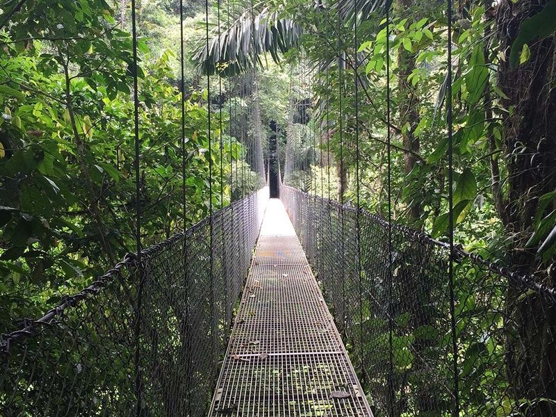 Circuit Découverte du Costa Rica - Parc naturel Rincon de la Vieja et plage de Tamarindo pas cher photo 7