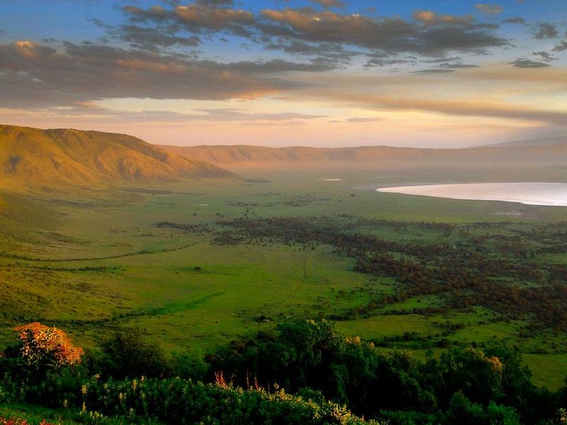 Circuit Safari authentique pas cher photo 2