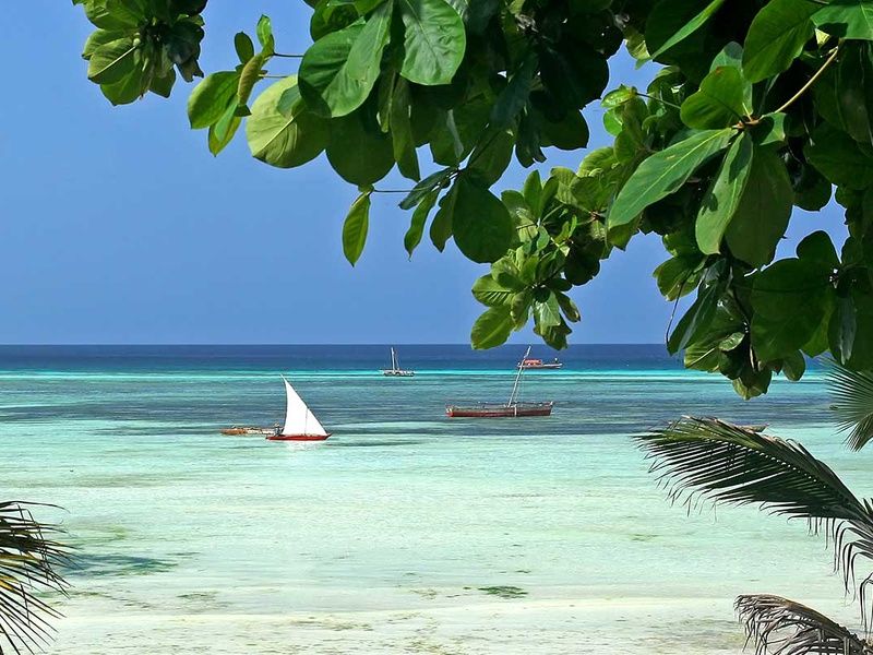 Circuit Safari authentique pas cher photo 3