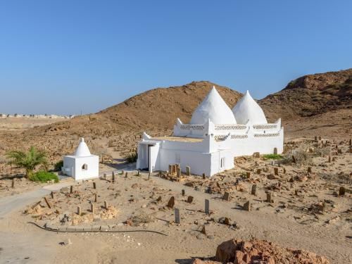 Circuit Encens, oasis et plages du Sultanat d'Oman 5* pas cher photo 1