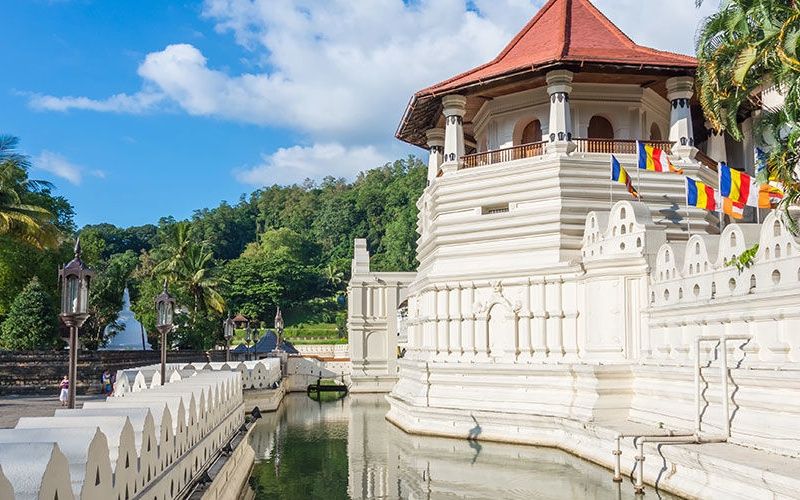 Circuit Les Incontournables du Sri Lanka et Extension Anantaya Resort & Spa 5*nl pas cher photo 1