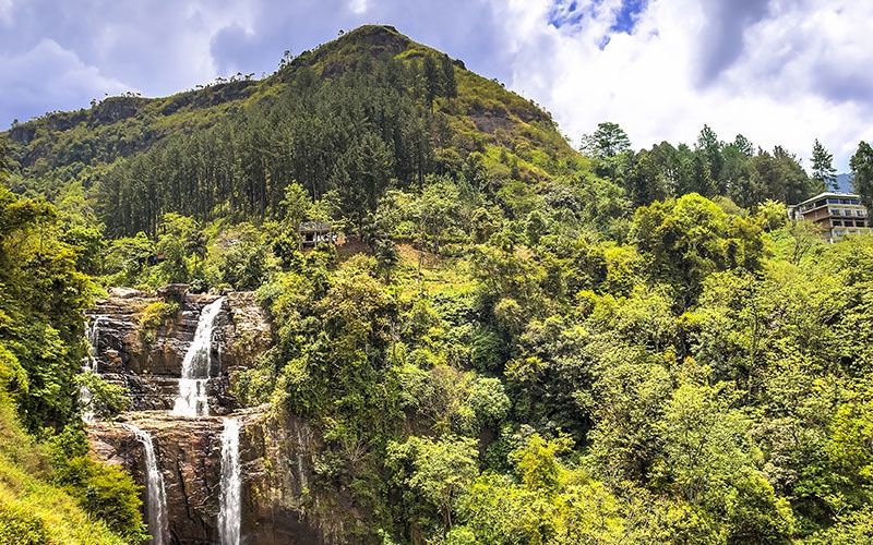 Circuit Les Incontournables du Sri Lanka et Extension Anantaya Resort & Spa 5*nl pas cher photo 3