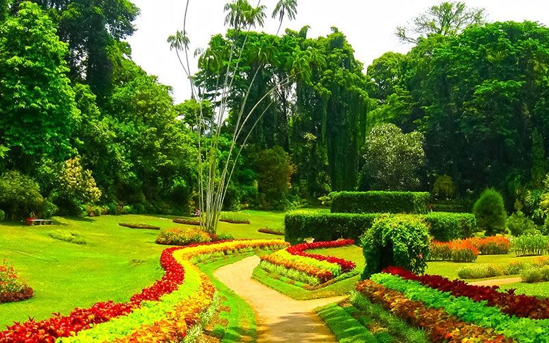 Circuit Les Incontournables du Sri Lanka et Extension Anantaya Resort & Spa 5*nl pas cher photo 5