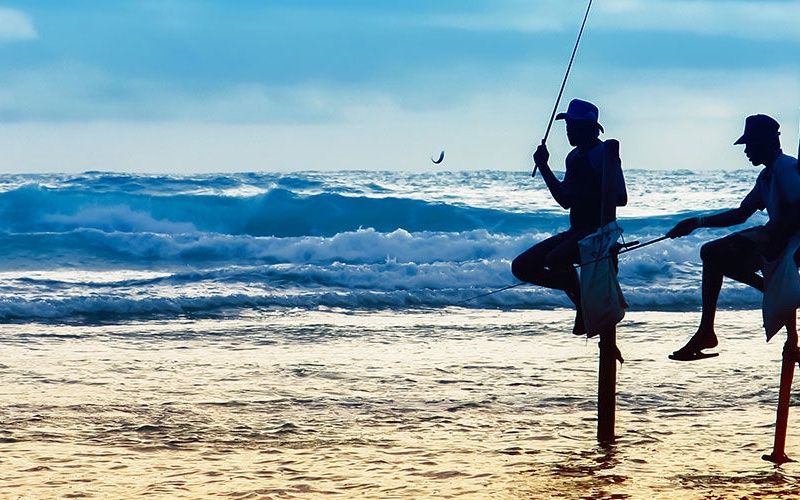 Circuit Les Incontournables du Sri Lanka et Extension Anantaya Resort & Spa 5*nl pas cher photo 6