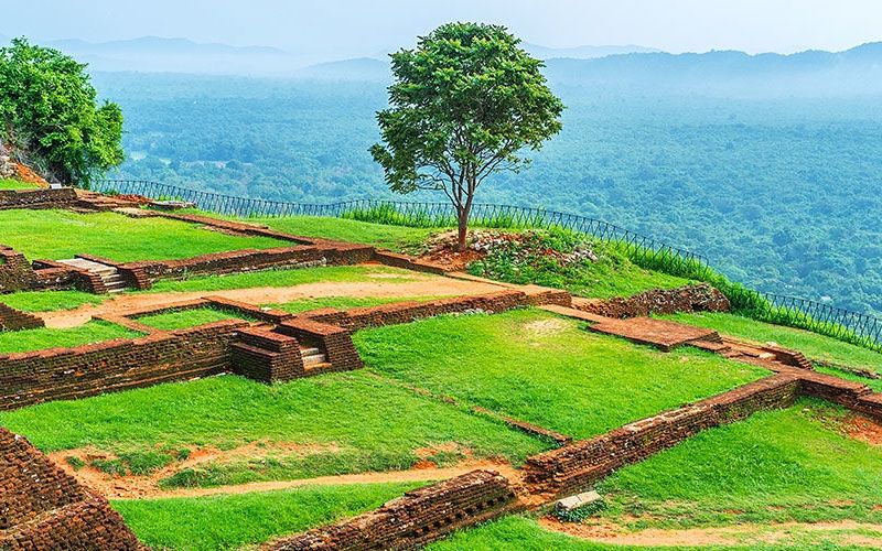 Circuit Les Incontournables du Sri Lanka et Extension Anantaya Resort & Spa 5*nl pas cher photo 14