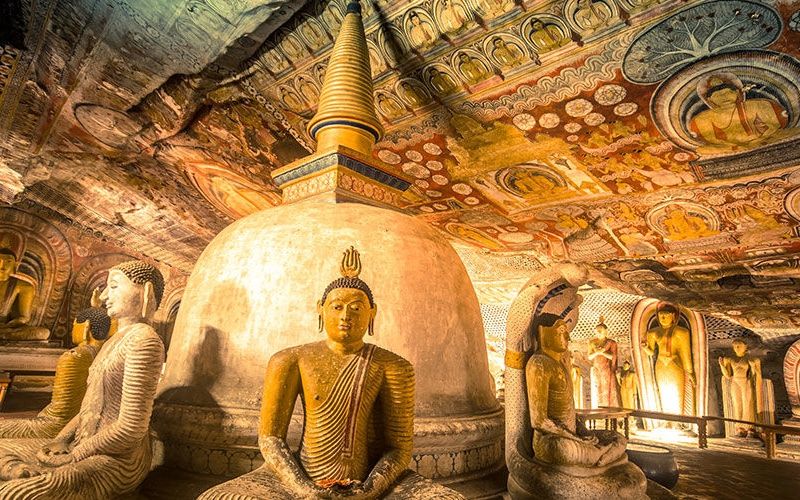 Circuit Les Incontournables du Sri Lanka et Extension Anantaya Resort & Spa 5*nl pas cher photo 17