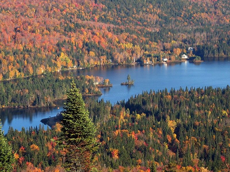 Du Saint Laurent à la Gaspésie pas cher photo 1