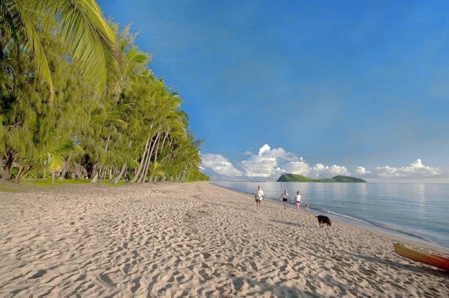 Circuit Odyssée Australienne & Exetension balnéaire à Palm Cove pas cher photo 1