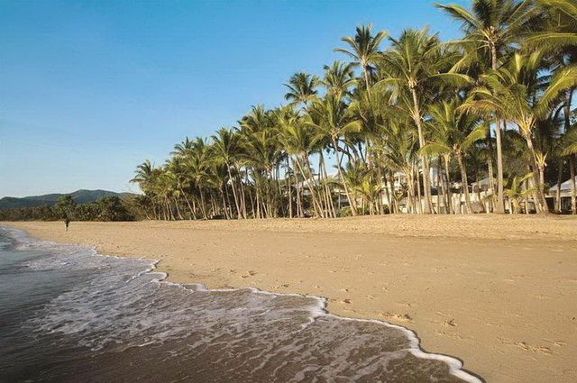 Circuit Odyssée Australienne & Exetension balnéaire à Palm Cove pas cher photo 22