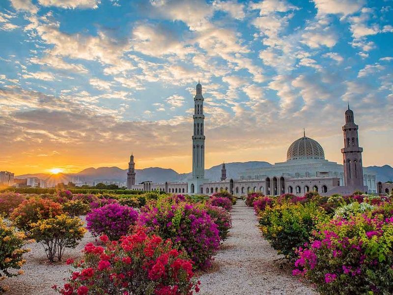 Circuit Parfums d'Orient à Oman pas cher photo 2