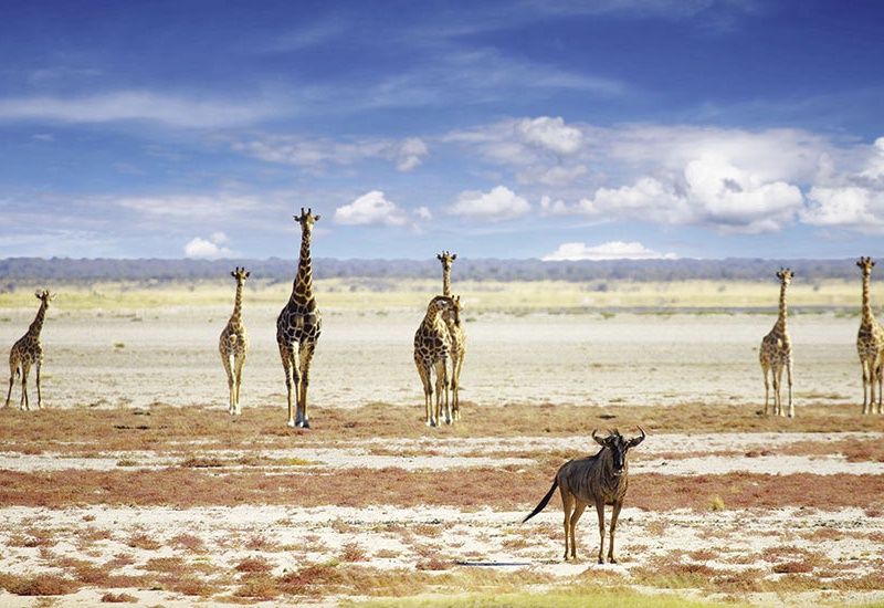 Circuit Périple au coeur des terres africaines, Namibie, Botswana, Zimbabwe pas cher photo 1