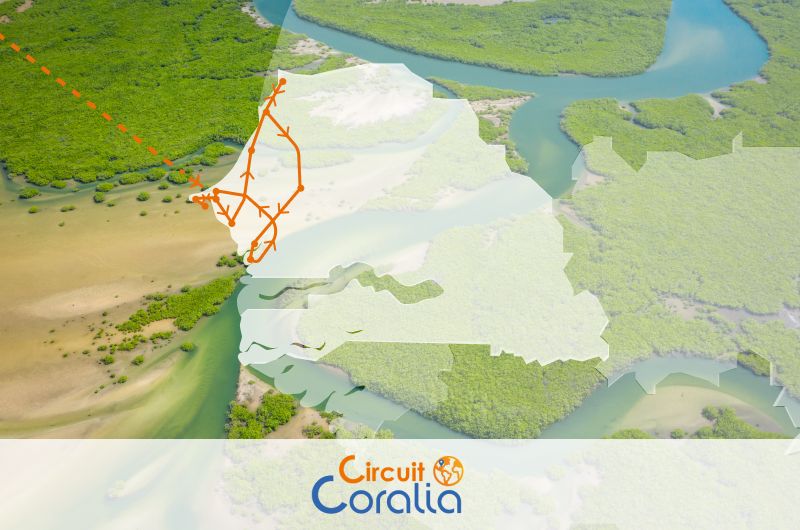 Circuit Au Coeur du Sénégal pas cher photo 1