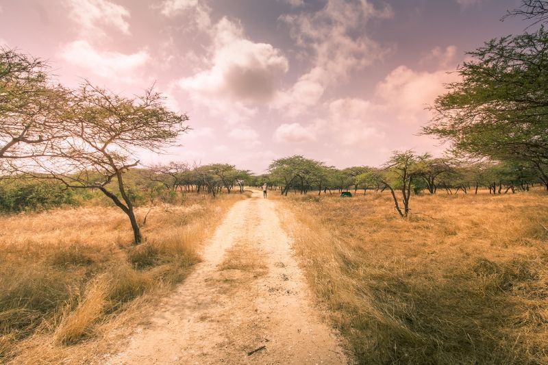 Circuit Au Coeur du Sénégal pas cher photo 4