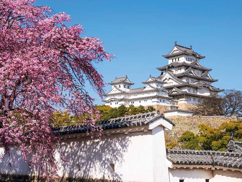 Circuit Grande découverte du Japon pas cher photo 1