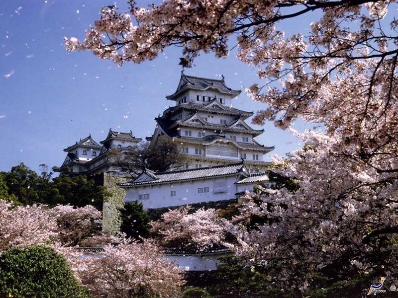 Circuit Grande découverte du Japon pas cher photo 22
