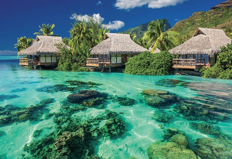 Circuit Divine Polynésie, de Tahiti à Bora Bora pas cher photo 3