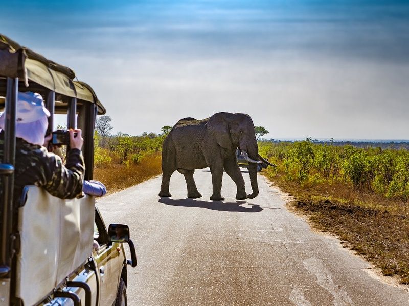 Circuit I Love Afrique du Sud pas cher photo 1