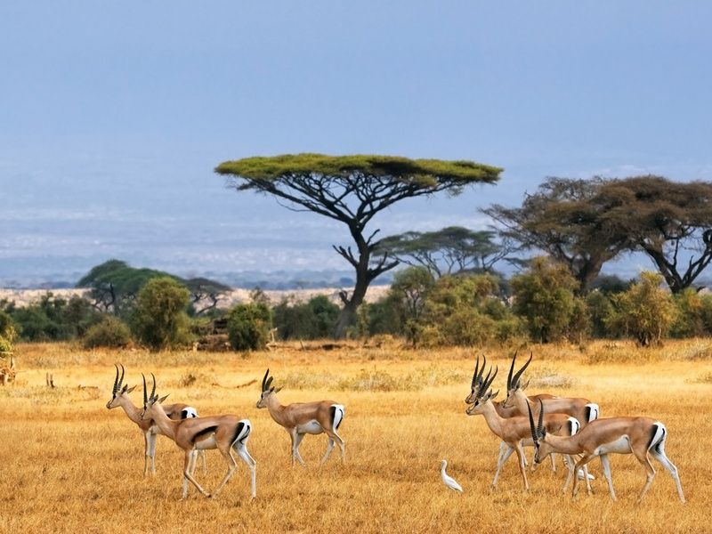 Circuit Magie de l'Afrique du Sud pas cher photo 1