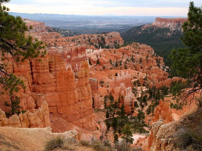 Circuit Yellowstone et les parcs pas cher photo 12