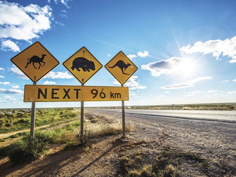 Découverte de l'Australie pas cher photo 5