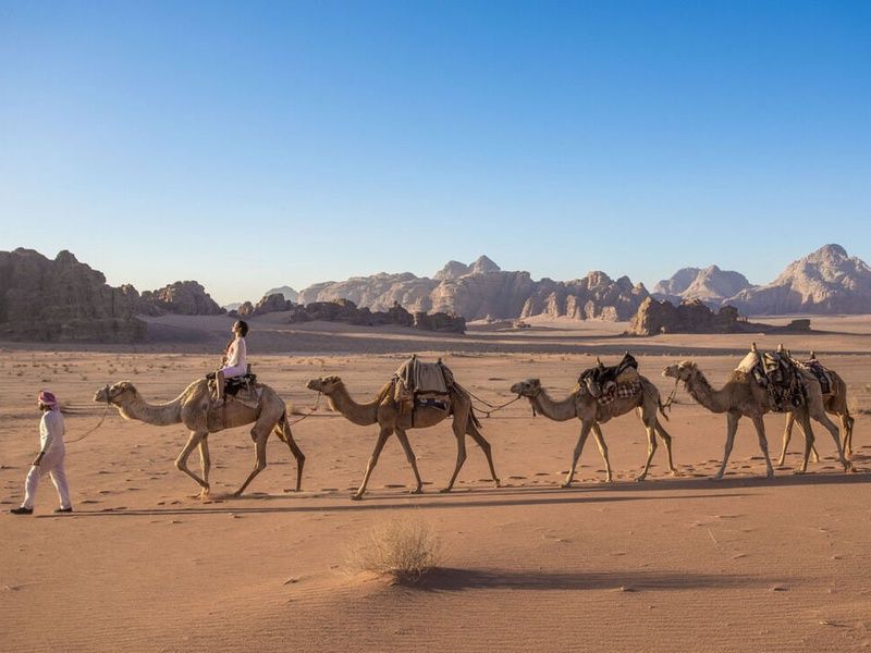 Circuit l'Echappée Jordanienne pas cher photo 23