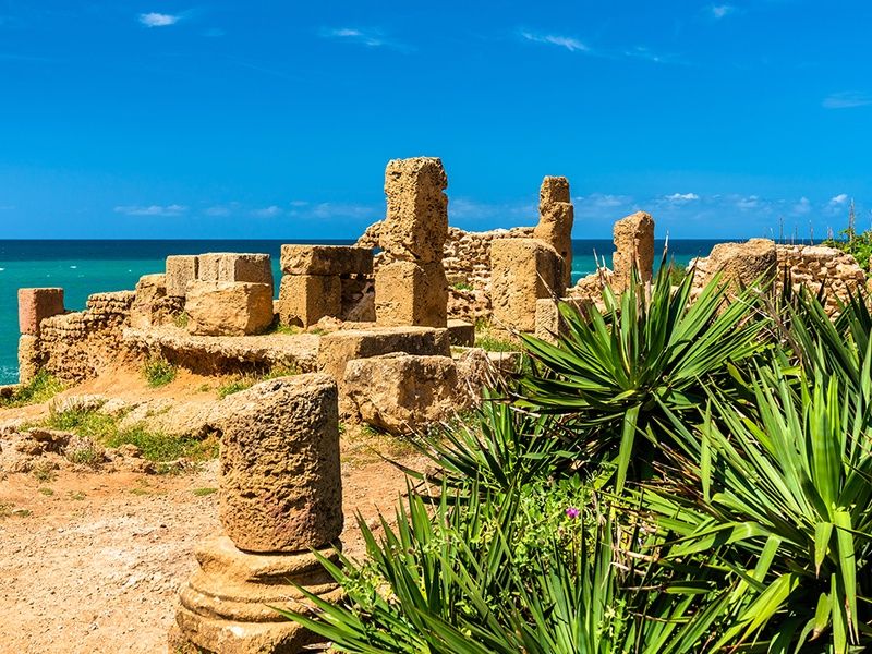 D'Oran à Alger, les routes de l'Histoire pas cher photo 1