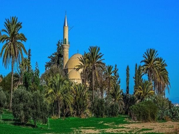 Circuit Chypre Sans Frontière pas cher photo 5