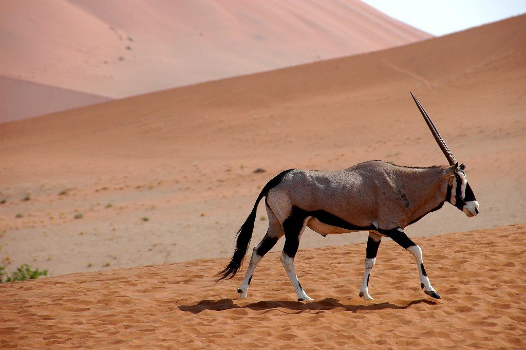 Circuit Trésors d'Afrique Australe 3* pas cher photo 6