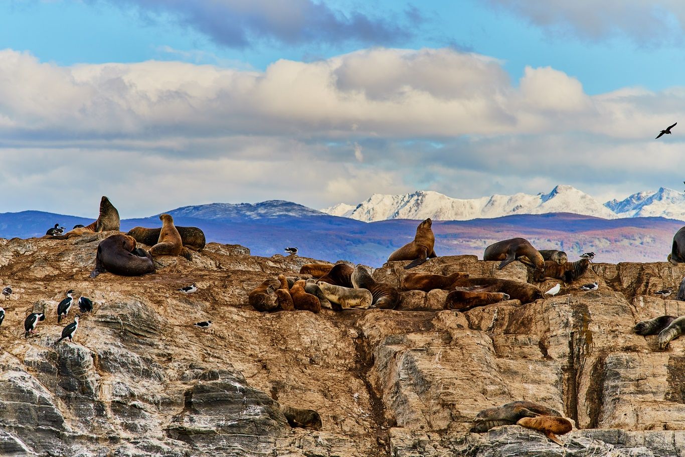 Circuit Couleurs de Patagonie pas cher photo 1