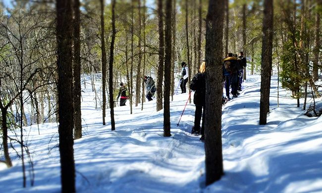 Circuit Regard sur le Canada en Hiver pas cher photo 2