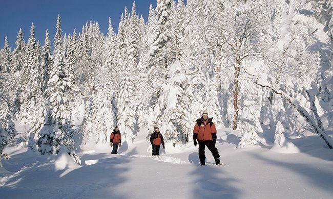 Circuit Regard sur le Canada en Hiver - Option 2 pas cher photo 2