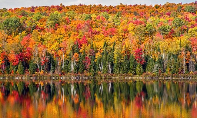 Autotour Panoramas sur le Québec, Ontario & Niagara + Gaspésie pas cher photo 2